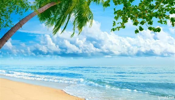 美国+墨西哥+洪都拉斯+巴哈马+古巴+巴拿马+迈阿密西加勒比邮轮 21天